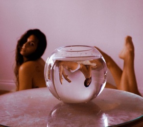 Dana Trippe 艺术摄影 | 鱼缸