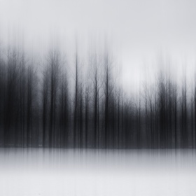 Jurgen Heckel | 宛如悠扬乐谱的迷雾摄影 