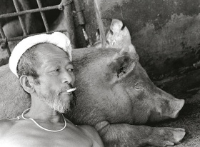 日本摄影师Toshiteru Yamaji摄影集《Pigs and Papa》