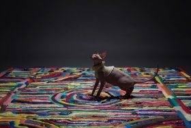 艺术家用塑料泡沫制成了令人惊奇的地毯 / Strange or stunning Carpets made from syrin