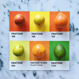 Pantone Food |  Lucy Litman食物色卡