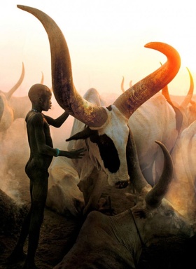 苏丹南部的丁卡人 | Carol Beckwith & Angela Fisher 人文摄影