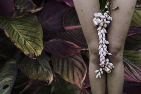Lilli Waters | 鲜花和身体