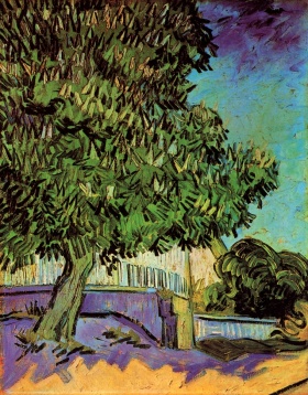 Vincent Van Gogh(梵高) ｜　树