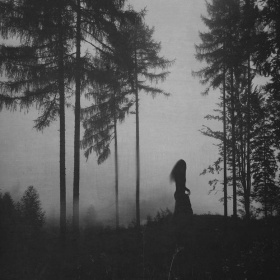 Mirjana Grasser | 迷雾森林