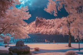 Infrared Nature｜ GMUNK photography