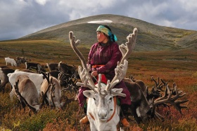 深山蒙古部落驯鹿人的生活 | Hamid Sardar-Afkhami