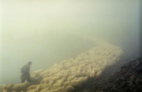 牧羊人｜摄影师Dmitry Gomberg ​​​​