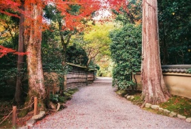 枫の京都