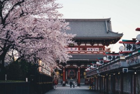 四月，粉色的东京 | Takashi Yasui