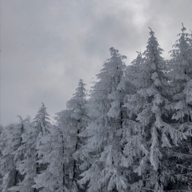 上一个冬季/iPhone 摄影