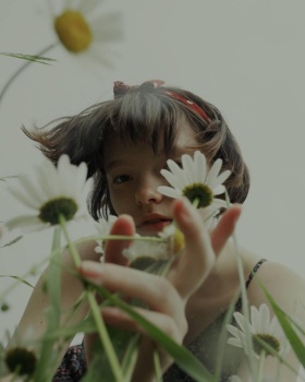 flowers | Marta Bevacqua ​​​​