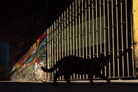 街头剪影，摄影师Sebastián Suter镜头里的圣地亚哥 ​​​​