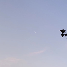 ...