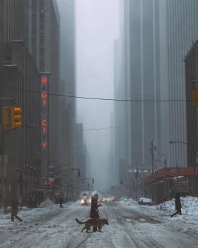 风雪中的纽约 | Zahava