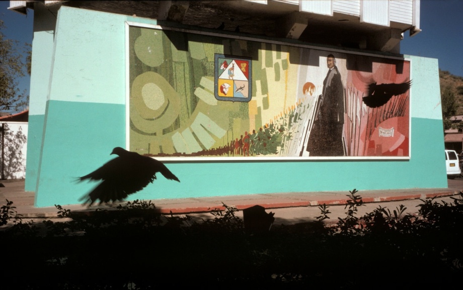大师街头摄影作品分享 alex webb