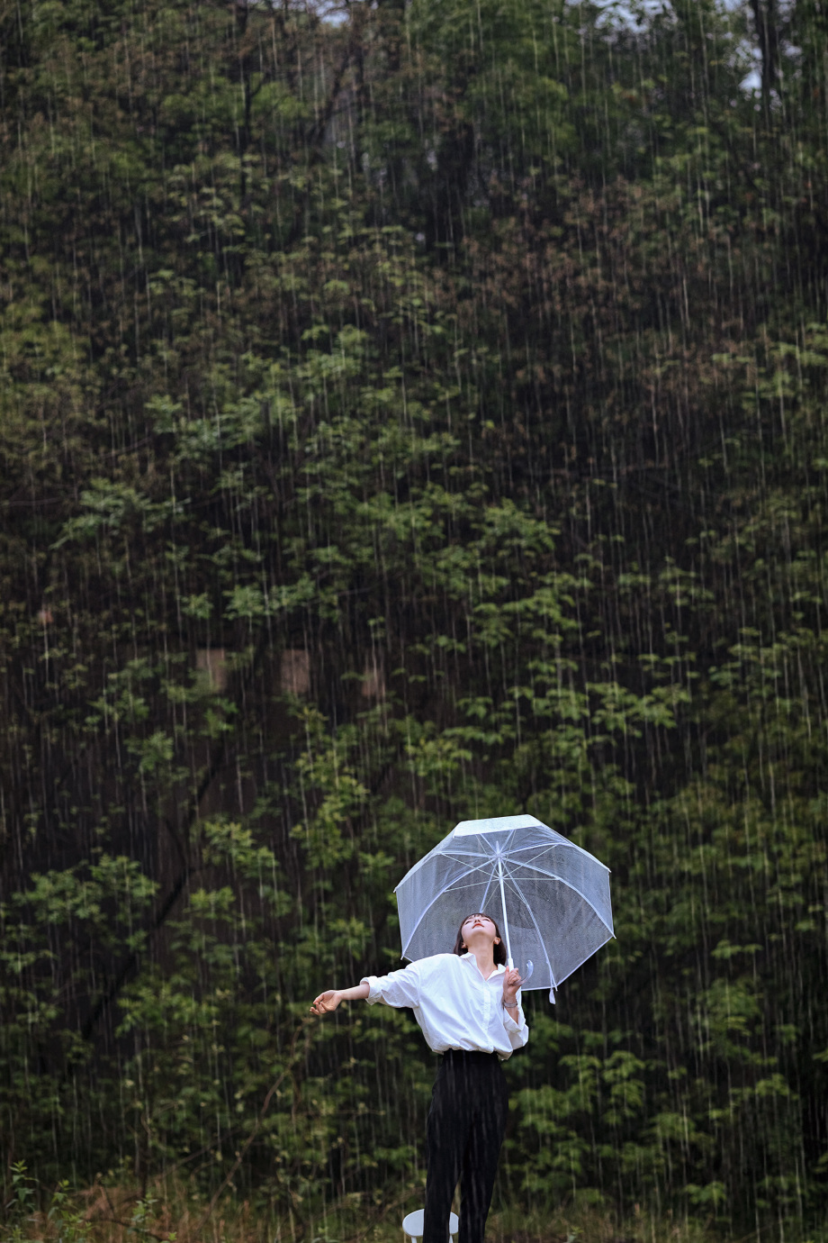 听风看雨闻花香,你的城市下雨了吗?