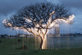 发光的树 | Vitor Schietti光绘作品