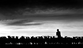 特兰西瓦尼亚牧羊人| 摄影师Istvan Kerekes