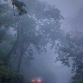 迷雾中的董岭村