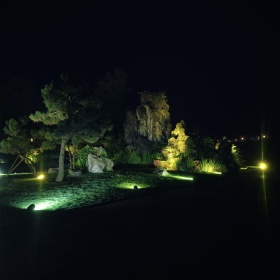 夜色最美