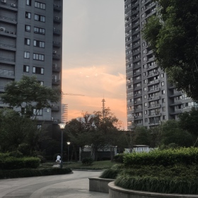 楼