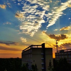夕望