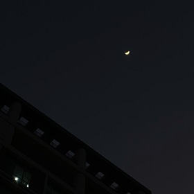 夜