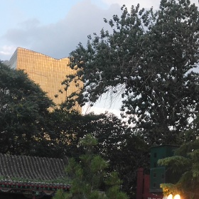 我眼中的风景