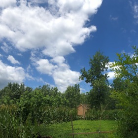 夏