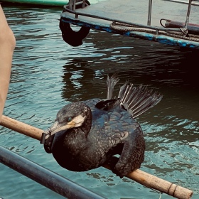 游桂林