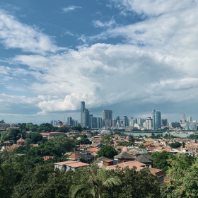 景