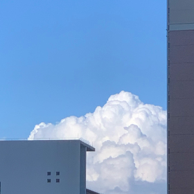 东方雨后