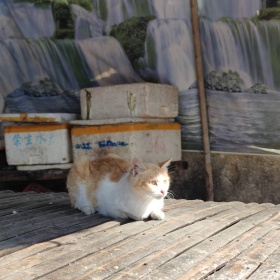 生活片段