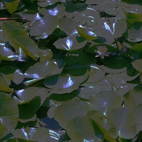 波光粼粼