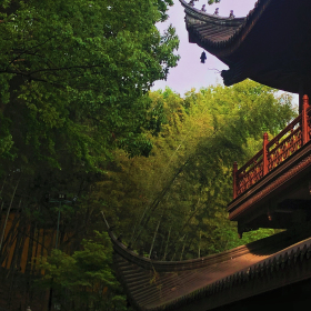 这世界的一切