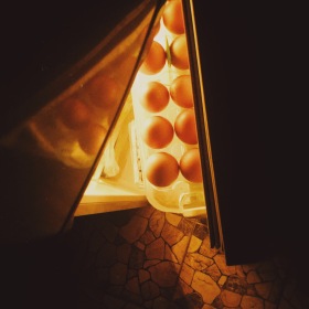 egg