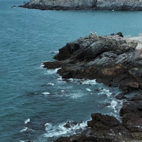海边