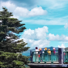 巡山