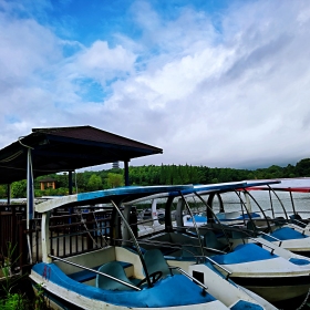 雨后