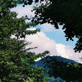 安逸