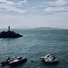 海