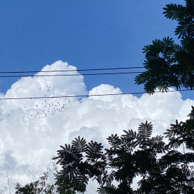 夏日残影与初秋飞鸟