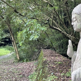 树深时见鹿，溪午不闻钟