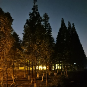 度过
