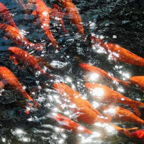 北海游记