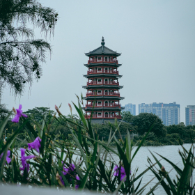 阴天的塔