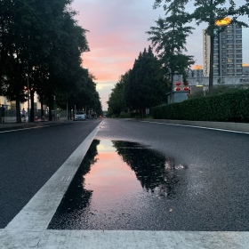 雨后调色盘