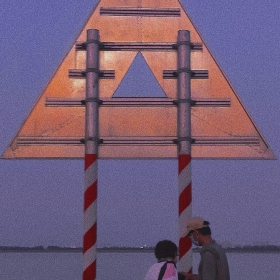 他们
