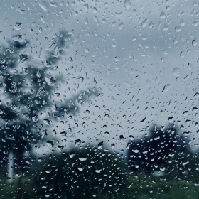 雨